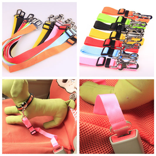 Durable Polyester Dog Lead – Adjustable Everyday Walking Leash