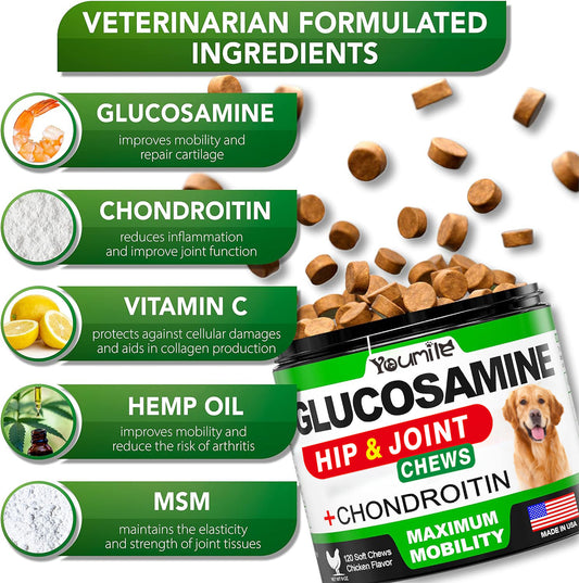 Pet Hip & Joint Supplement with Chondroitin – Daily Mobility Support Vitamins for Dogs & Cats