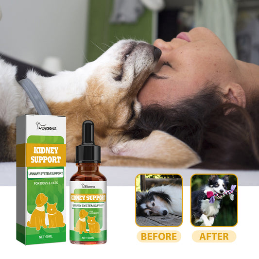Pet Energy & Vitality Nutritional Supplement – Daily Wellness Support for Dogs & Cats