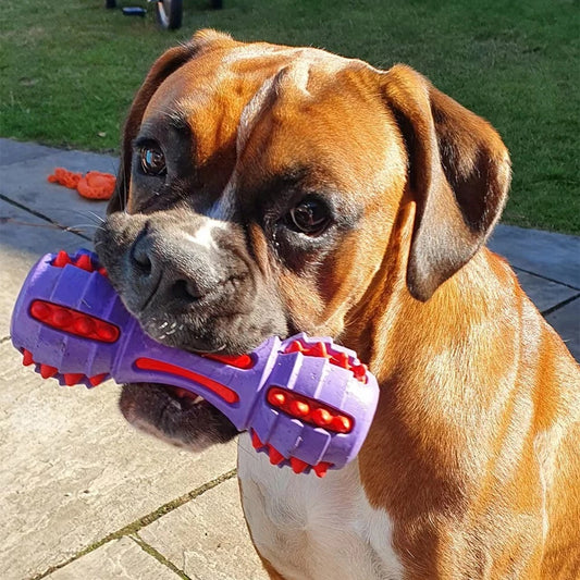 Durable Rubber Dog Chew Toy – Heavy Duty Dumbbell Toy for Aggressive Chewers
