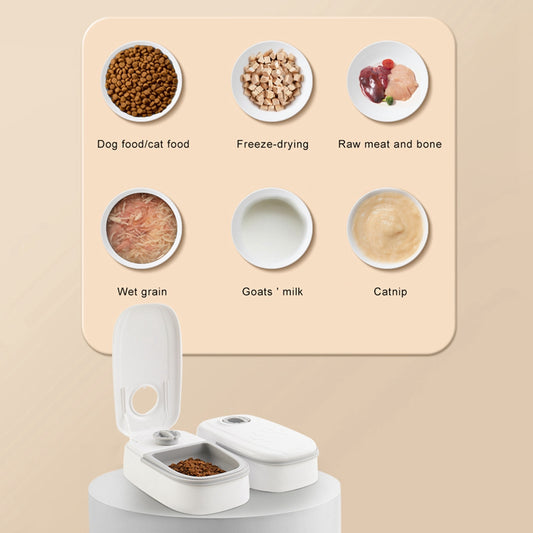 Automatic Pet Feeder with Timer & Stainless Steel Bowl for Cats & Dogs