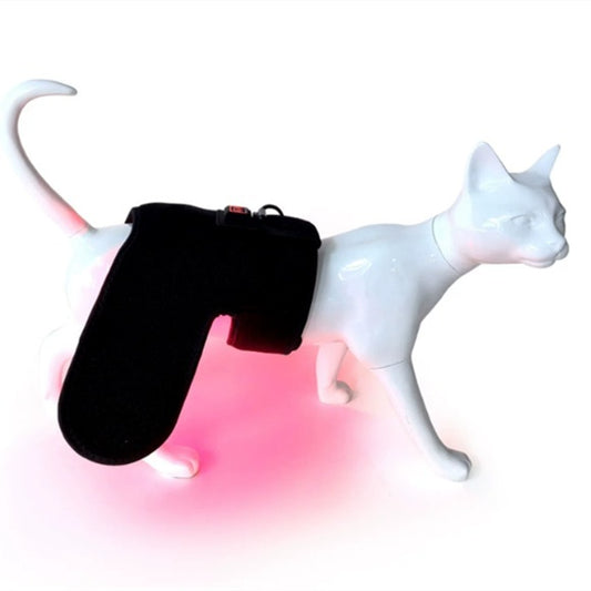 Pet Red Light Therapy Mat – LED Recovery Mat for Dogs & Cats, Comfort Support, Post-Activity Relaxation & Pet Wellness
