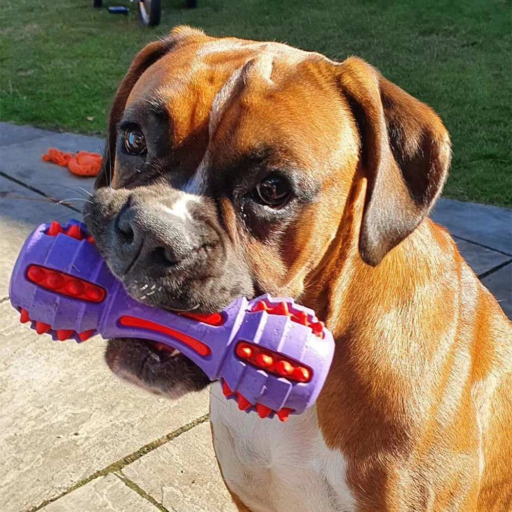 Durable Rubber Dog Chew Toy – Heavy Duty Dumbbell Toy for Aggressive Chewers